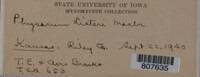Image Associated With the Occurence
